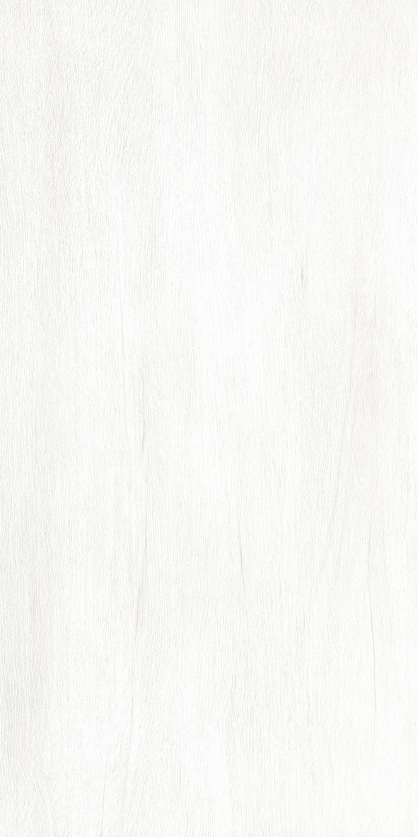 145044ew84bqvxppte28px.jpg