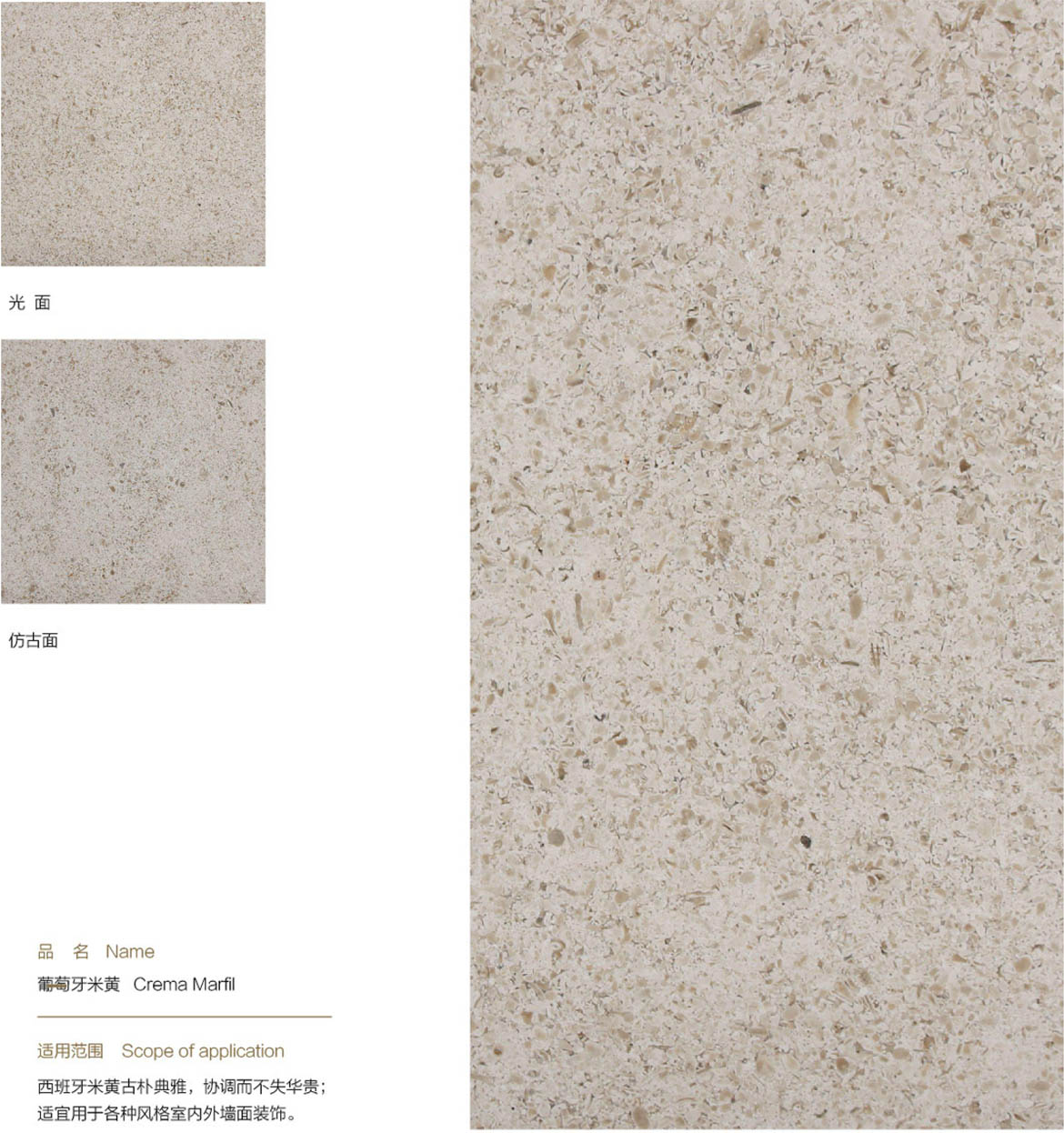 082001aamad6dltgr626x5.jpg
